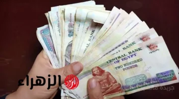 بشرى سارة.. قرار حكومي جديد يفرح أصحاب المعاشات وتفاصيل مفاجأة منتظرة 1